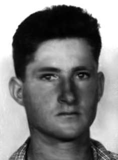 יורם אלישיב