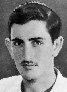 שמואל-דוד פאר-לי