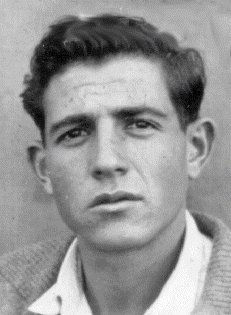 יהושע צרויה