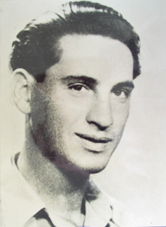 מאיר פיינשטיין