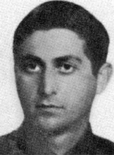 חיים גרינברג