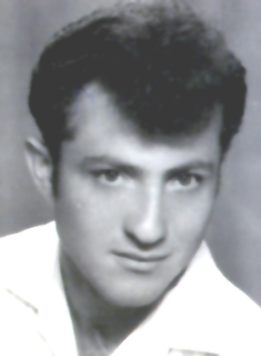 עדין דודזון