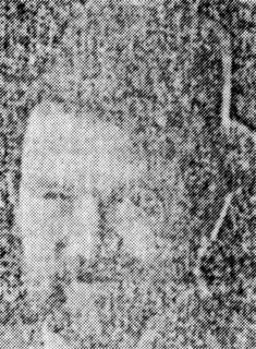 פנחס הומינר