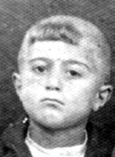 אבישי מיטקלצי